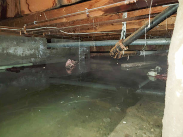 Best 24-hour water damage restoration  in Mount Vernon, OH