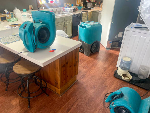 Best Basement water damage restoration  in Mount Vernon, OH