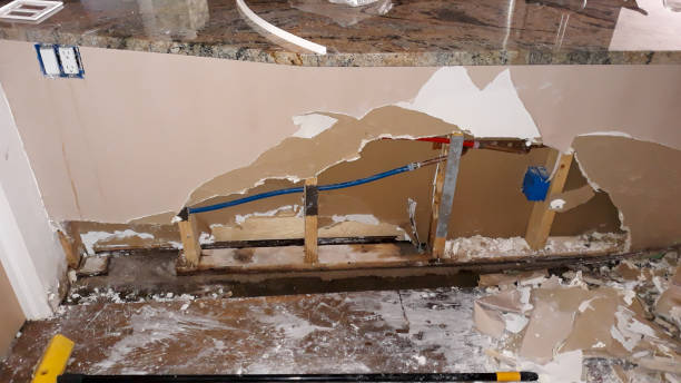 Best Carpet water damage restoration  in Mount Vernon, OH