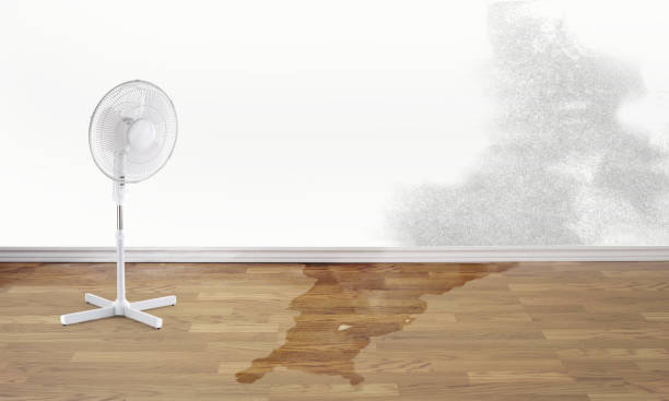 Best Local water damage restoration  in Mount Vernon, OH