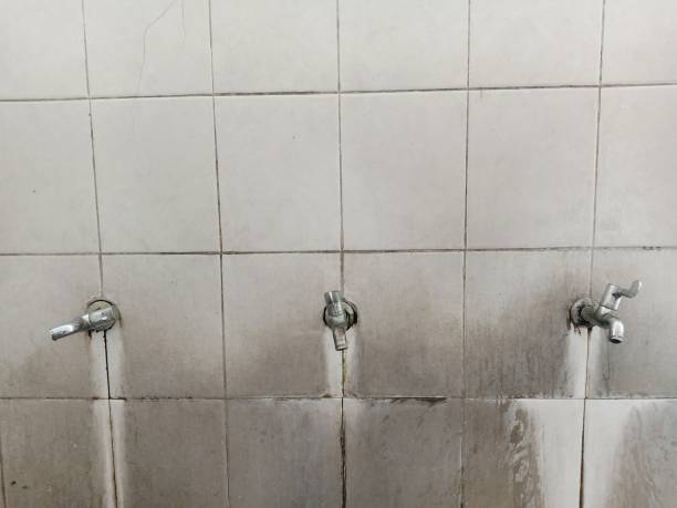 Best Basement water damage restoration  in Mount Vernon, OH
