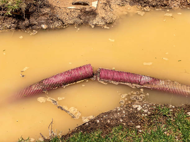 Best Flood restoration services  in Mount Vernon, OH