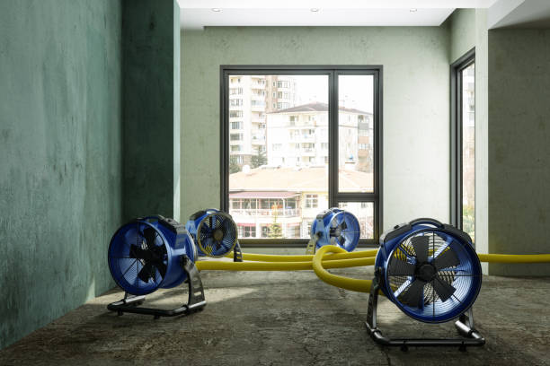 Best Ceiling water damage repair  in Mount Vernon, OH
